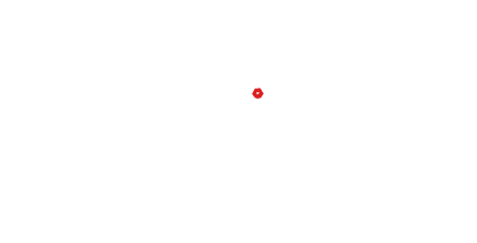 light logo